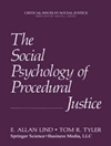 روانشناسی اجتماعی عدالت راهبردی [کتاب انگلیسی]