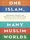 اسلام واحد، جهان‌های متعدد مسلمان: معنویت، هویت و مقاومت در سراسر سرزمین های اسلامی [کتاب انگلیسی]